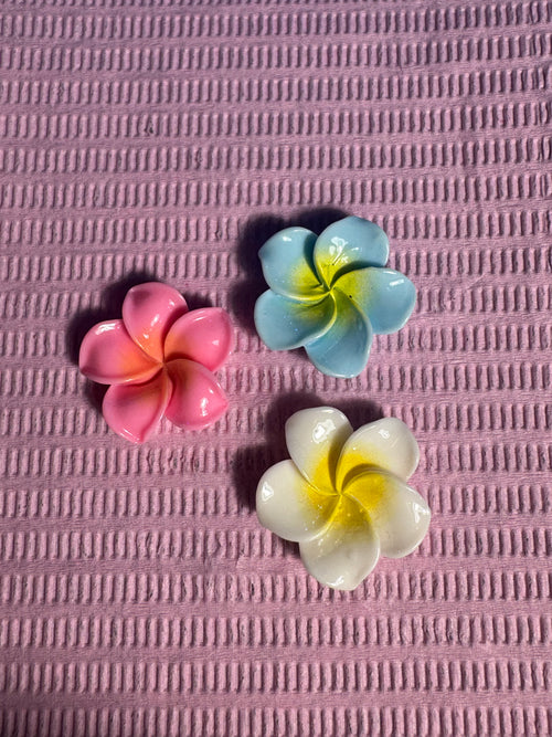 charm 1